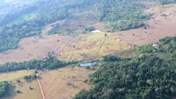Post image 6