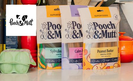 Pooch and mutt logo top left with pooch and mutt products on a hallway table