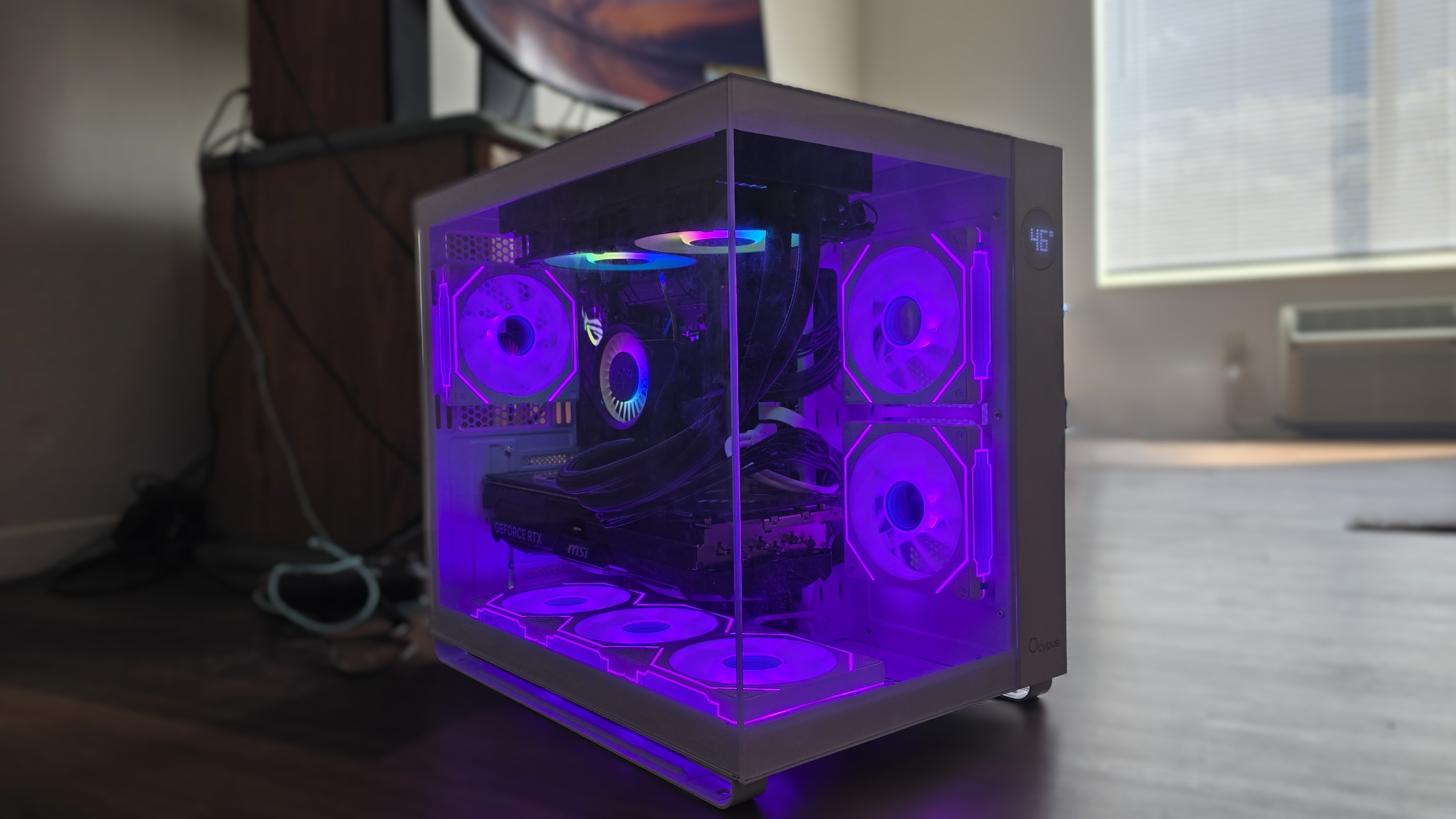 Ocypus Iota C7