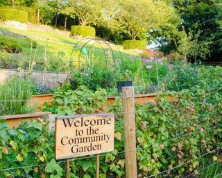 The Community Garden at Wharton Park, Durham
