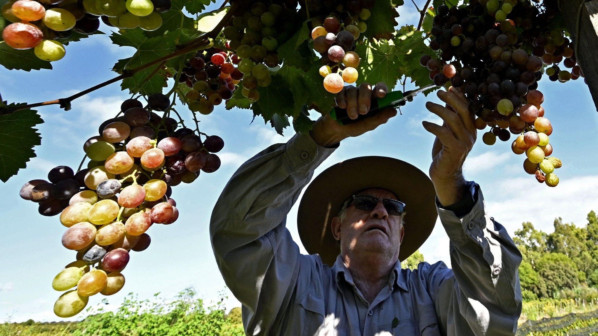 6 thrilling wine regions that prove there is wine life outside the known