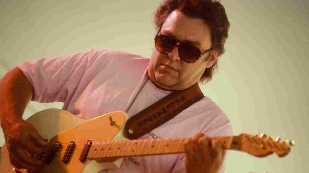 Danny Gatton performing onstage