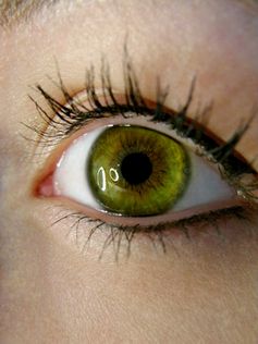 The way we perceive things gets divvied up to different parts of our brain.
