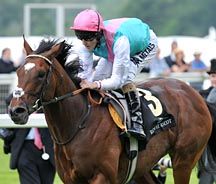 frankel.jpg