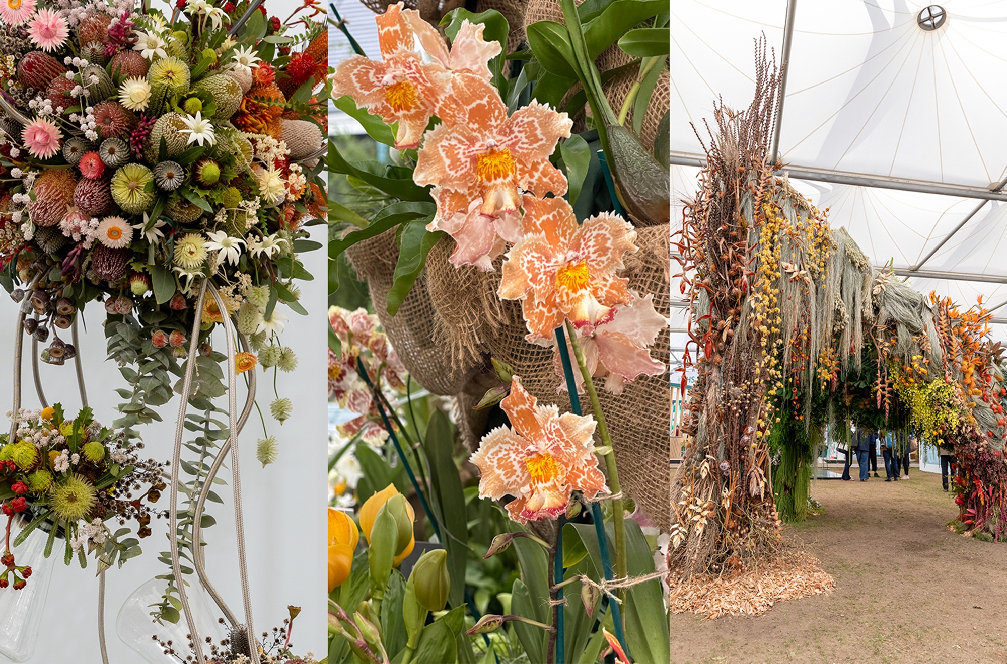 soft pastel flowers at the chelsea flower show