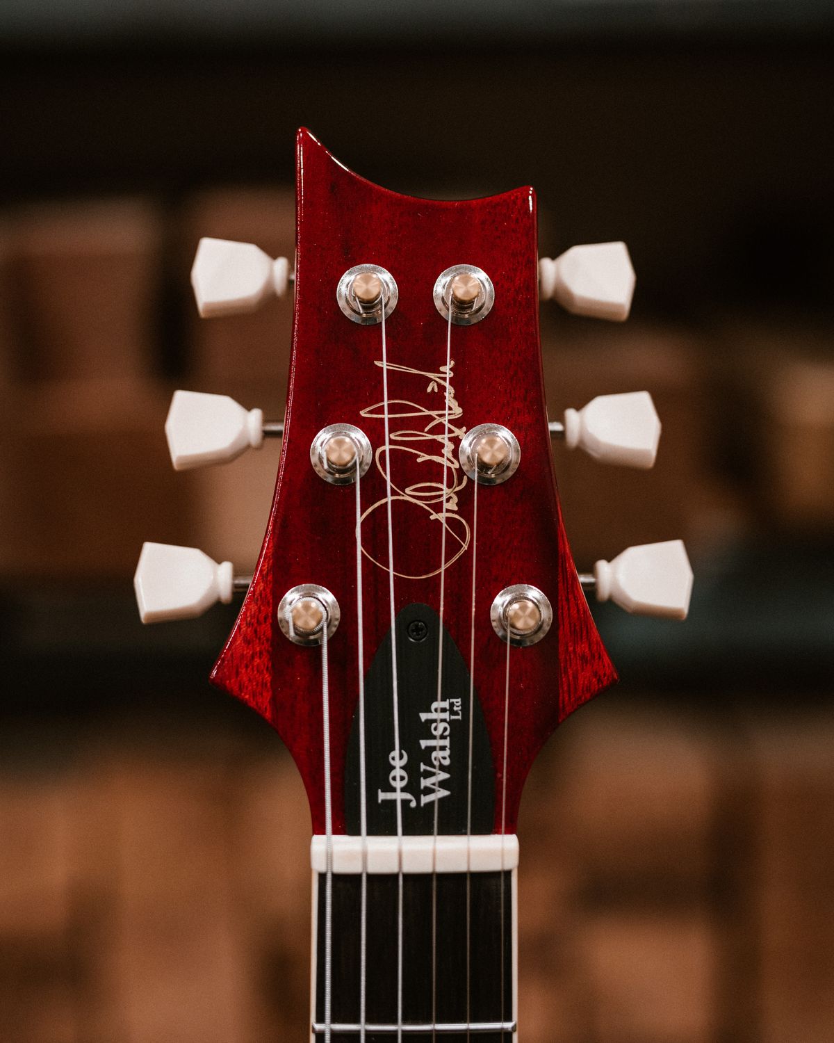 PRS McCarty 594 Singlecut Joe Walsh Limited Edition