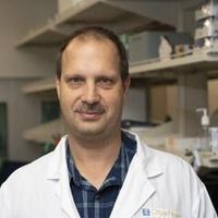 Alex Pozhitkov's avatar