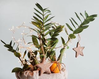 Green plant decorated with string lights, ornaments, wrapped oranges