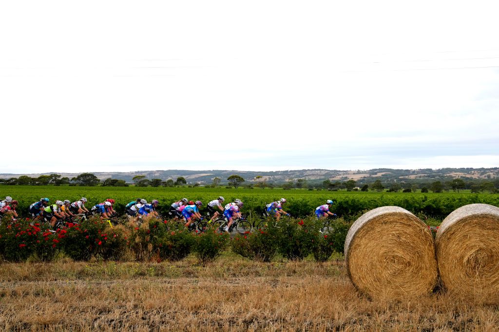 ECHUNGA AUSTRALIA JANUARY 24 A general view of Georgia Baker of Australia Sprint Jersey Ruby RosemanGannon of Australia Blue Santos Leaders Jersey Alexandra Manly of Australia Amber Pate of Australia and Amanda Spratt of Australia and Team BikeExchangeJayco lead the peloton during the 2nd Santos Festival Of Cycling 2022 Womens Elite Stage 2 a 857km stage from McLaren Vale to Echunga TourDownUnder on January 24 2022 in Echunga Australia Photo by Daniel KaliszGetty Images