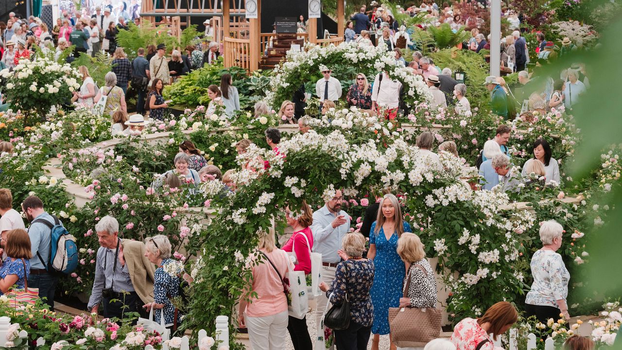 Chelsea Flower Show