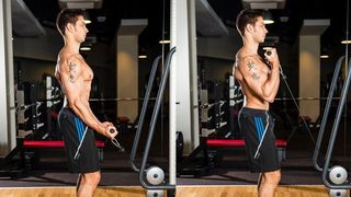 Cable biceps curl
