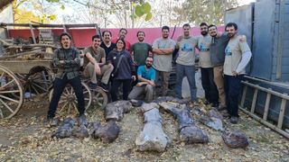 The research team stands next to the recovered fossils of the titanosaur Chucarosaurus diripienda.