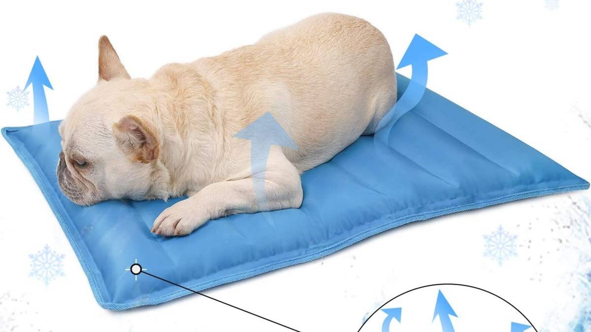 Best cooling mat for dogs 2021 Selfcooling mats, pads and beds for