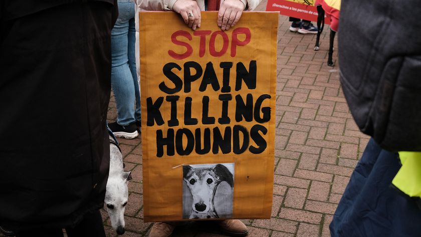 Protester holding placard saying &#039;stop Spain killing hounds&#039;