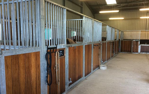 Your mounts, mainly quarter horses, have smart barn stables