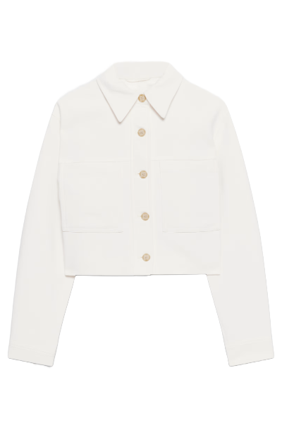 aritzia, 