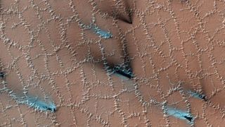 Polygons crack across the Martian surface as hidden ice expands and contracts with the seasons.