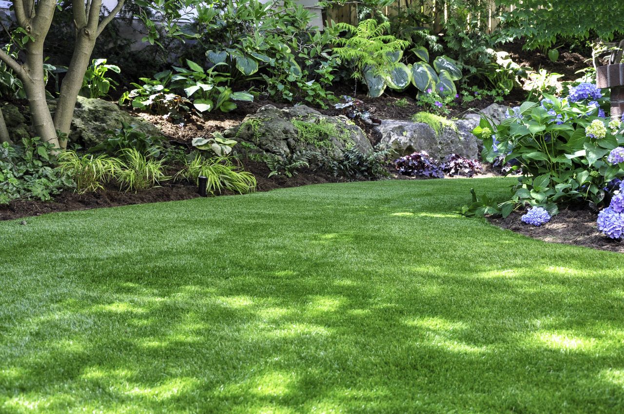 A green backyard with lots of plants and flowers