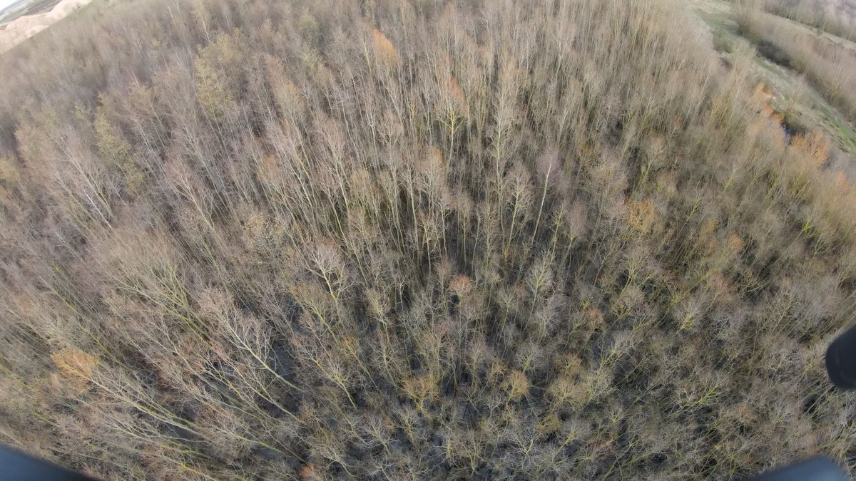 DJI FPV