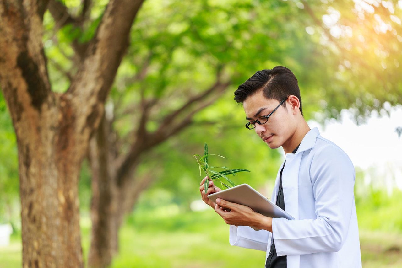 Botanist Holding Plant In Garden