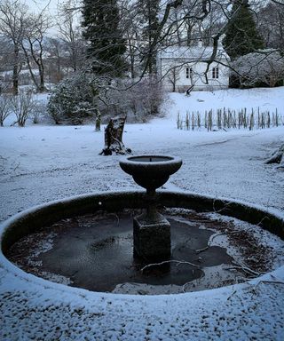 A frosty winter garden with a stone pond