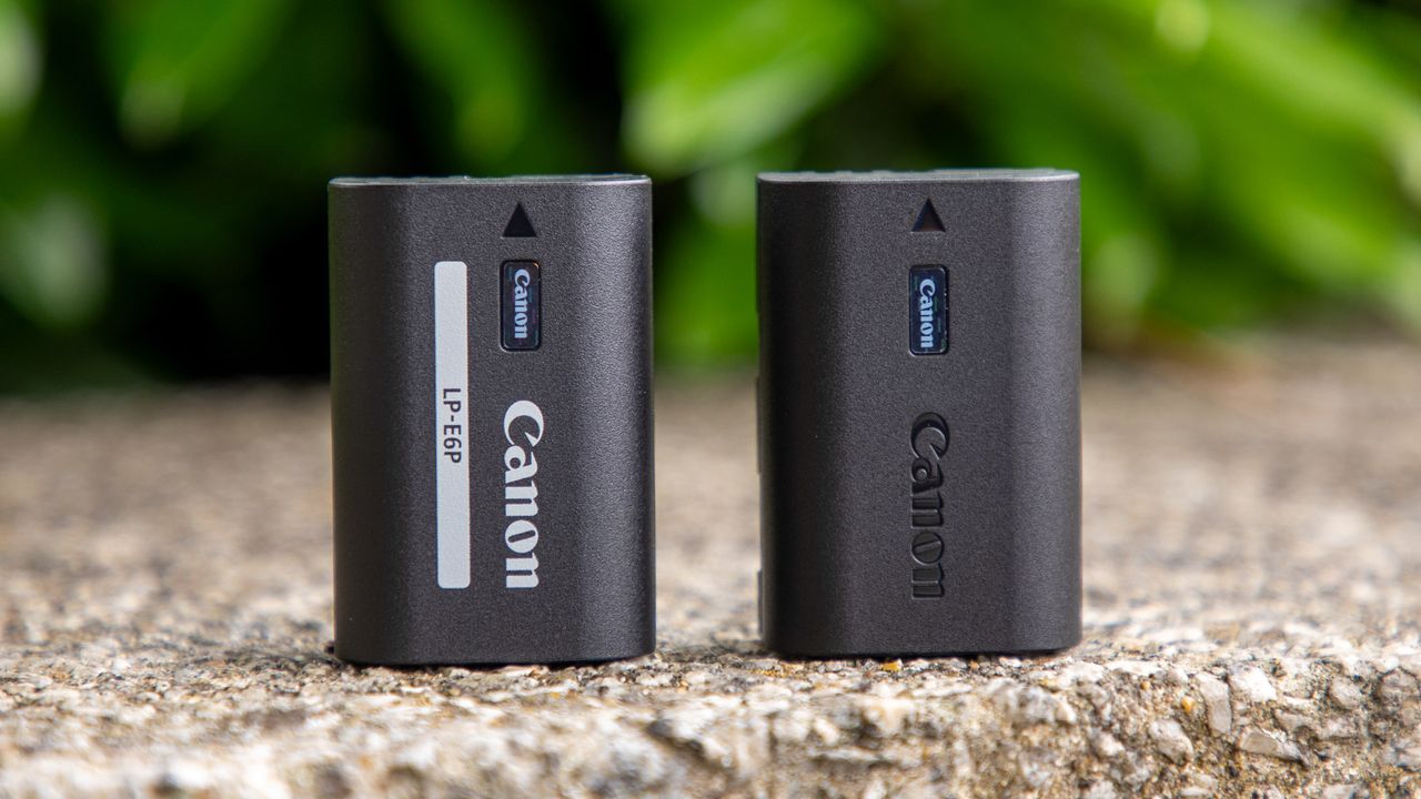 Canon Battery Grip BG-R20 BG-R20EP CF-R20EP