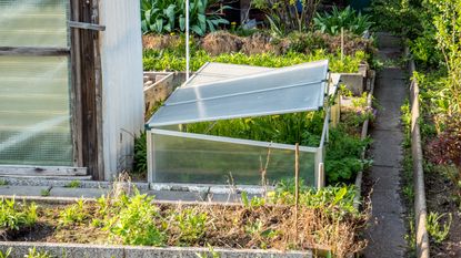 A garden with a cold frame and a greenhouse
