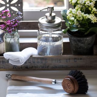 cleaning brush with soap dispenser and potted plant