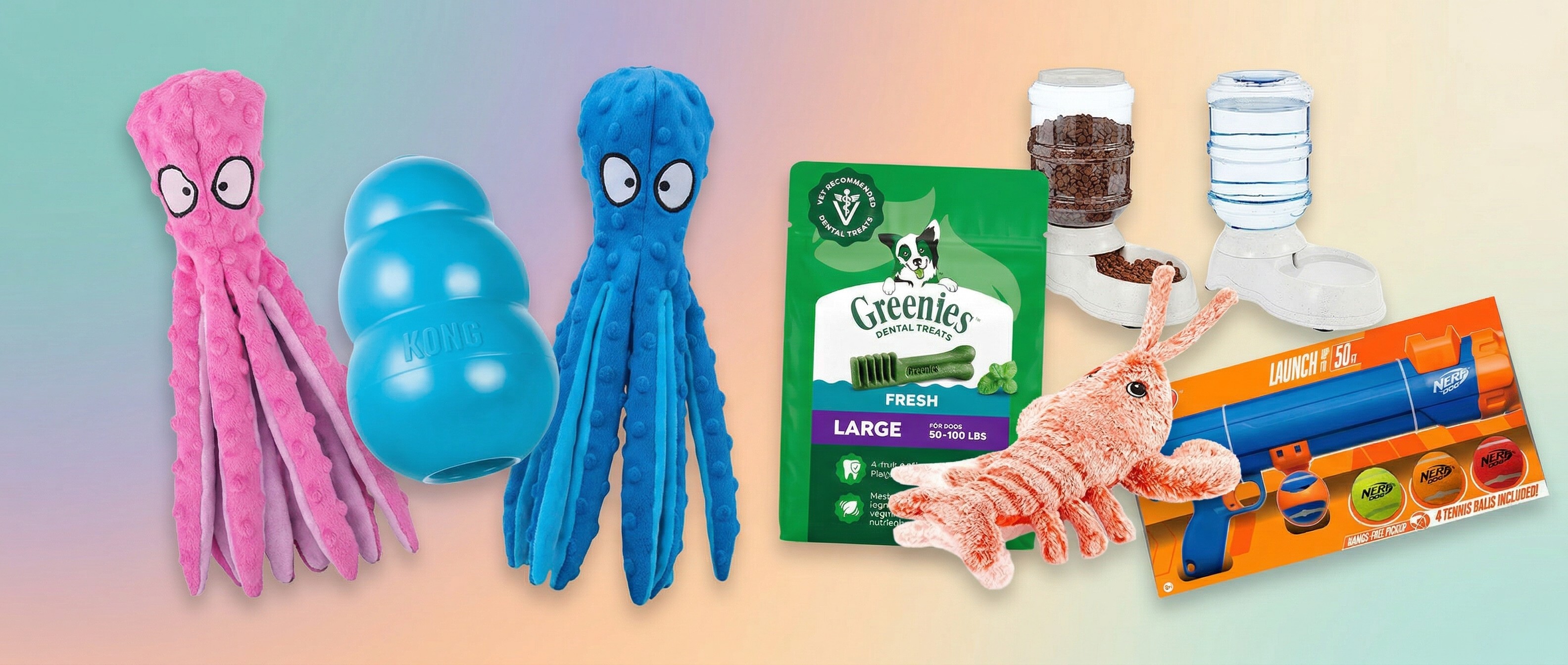 Pet products on colourful background