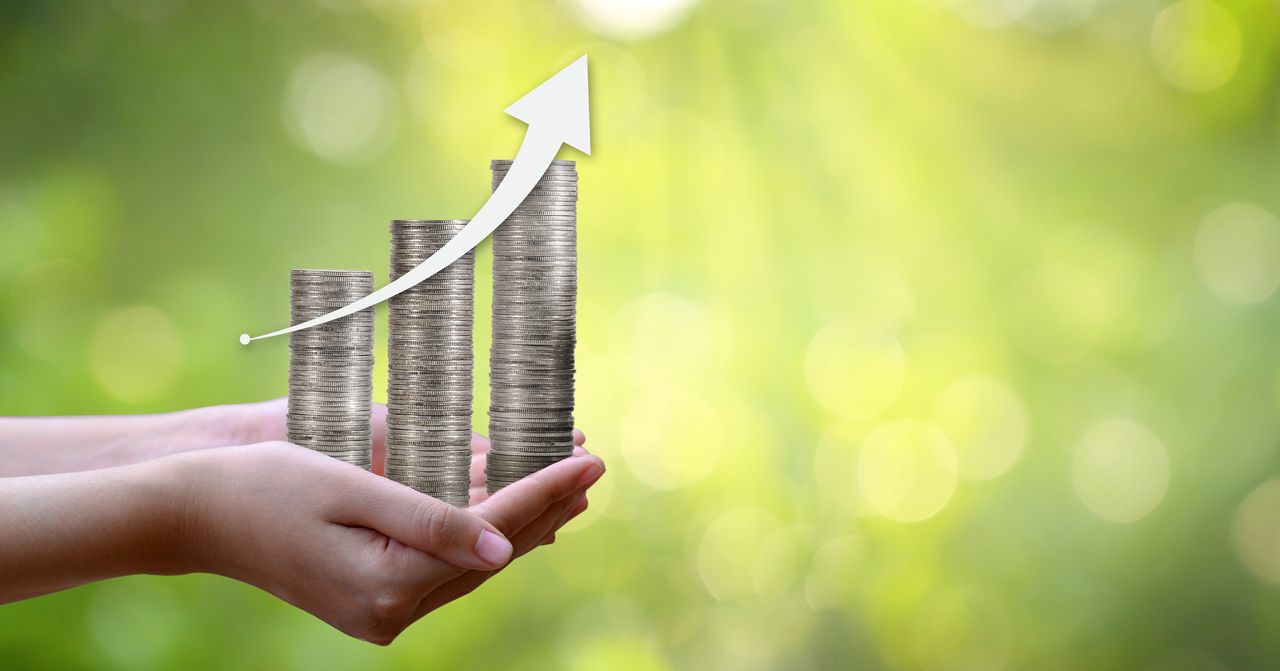 Hand Coin tree The tree grows on the pile. Saving money for the future. Investment Ideas and Business Growth. Green background with bokeh sun