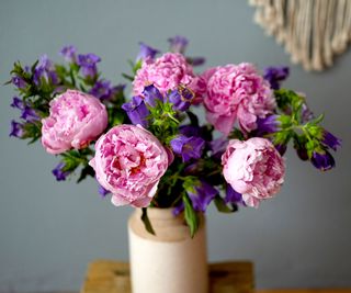 cut flower display featuring pale pink peonies