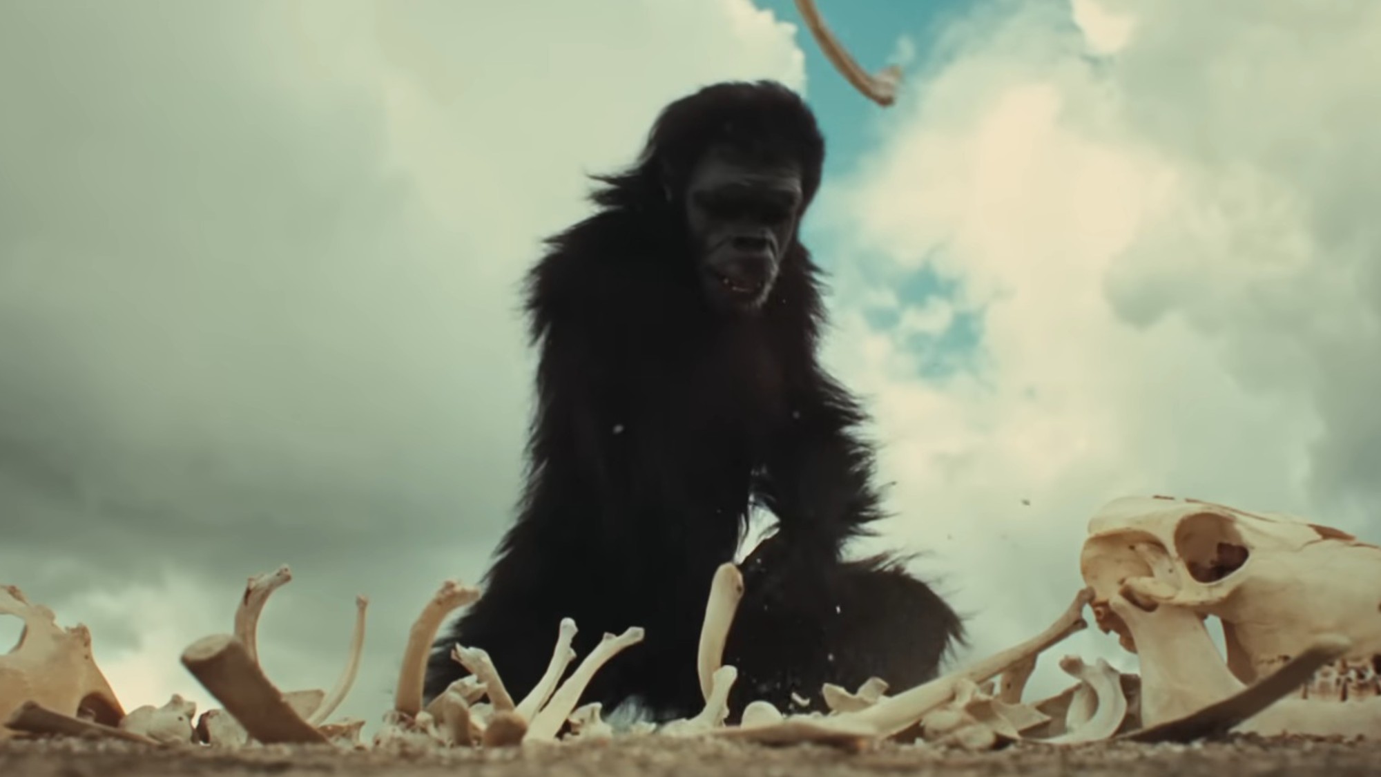 A chimpanzee with a bone in 2001: A Space Odyssey