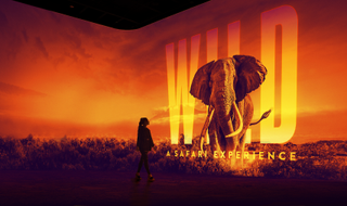 Panasonic projection at —"WILD: The World’s First Virtual Safari”