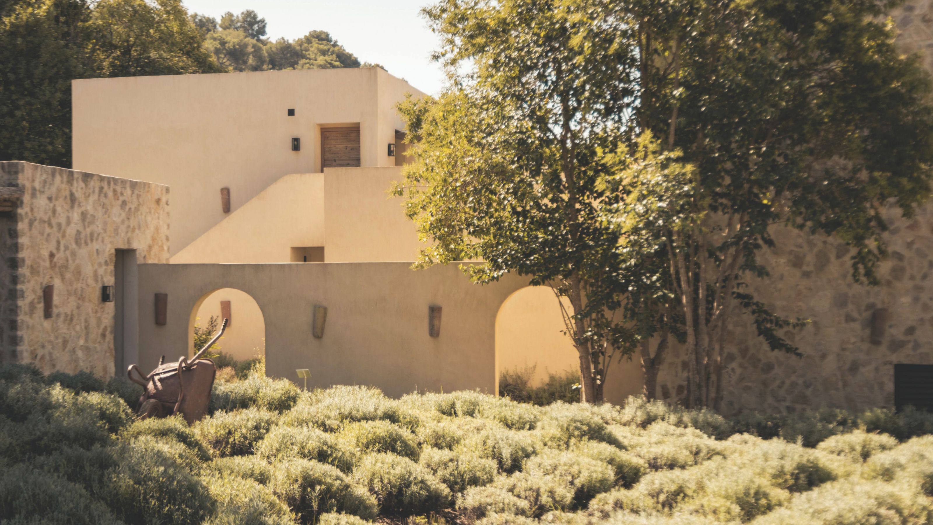 An architectural view of a sand-colored building with arched entryways, set behind a manicured field of lavender under bright sunlight.