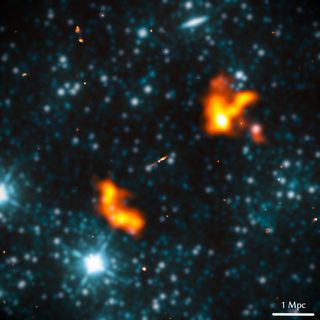 A joint radio-infrared view of Alcyoneus, a radio galaxy with a projected proper length of 5.0 megaparsecs. Researchers superimposed images from the LOFAR Two-meter Sky Survey (LoTSS), shown in orange, with images from the Wide-field Infrared Survey Explorer (WISE), shown in blue. 