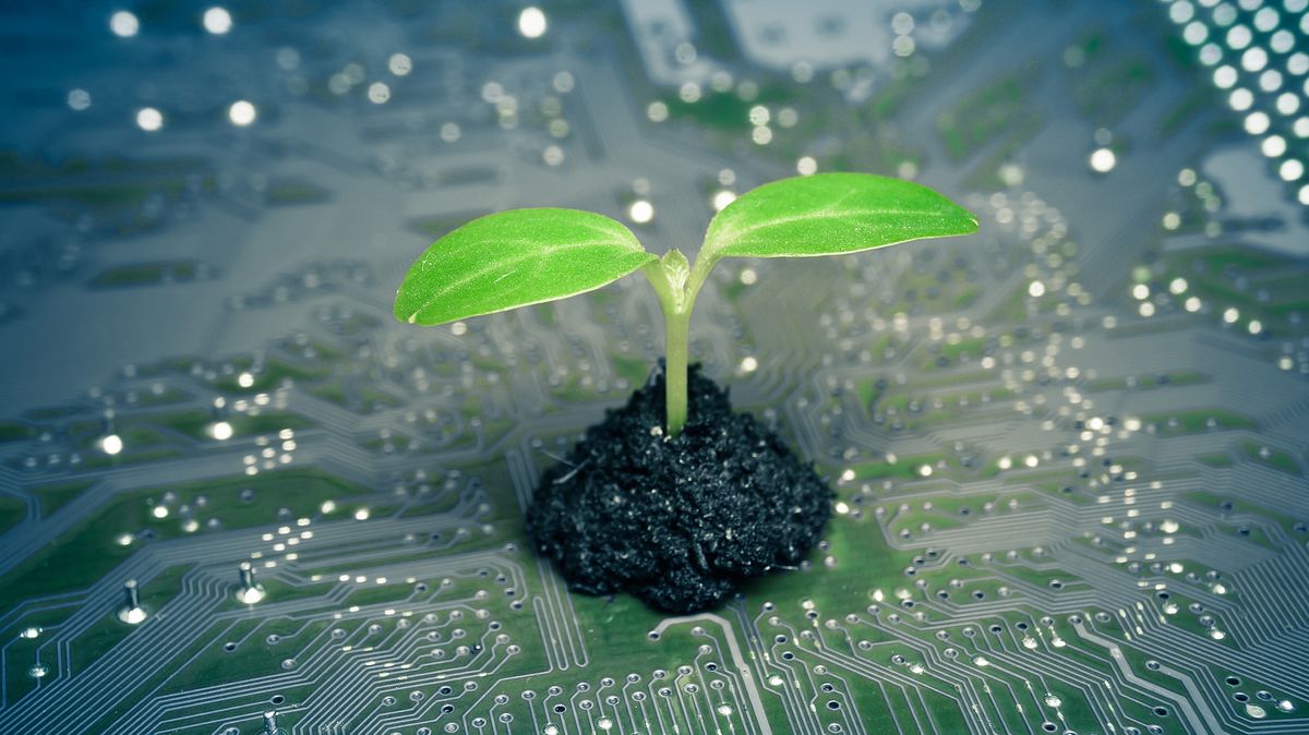 A green circuitboard with the shoot of a plant growing out of it