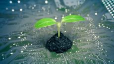 A green circuitboard with the shoot of a plant growing out of it