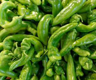 Anaheim chili peppers