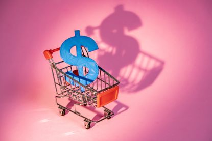 Shopping cart carrying a big blue dollar sign on pink background
