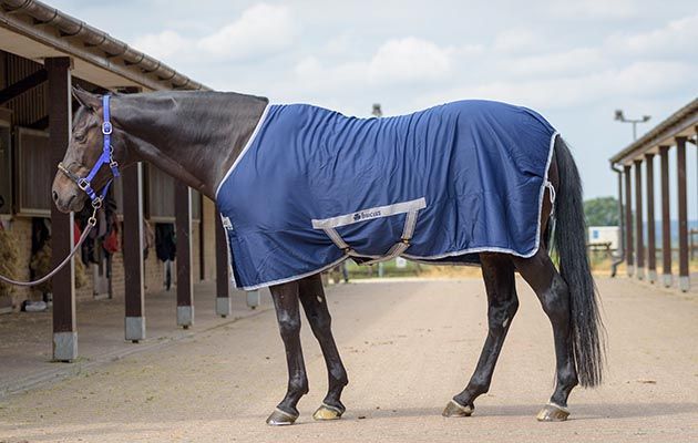 Bucas Freedom Twill Sheet review