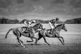 Equine photography by Dawn Cotterell