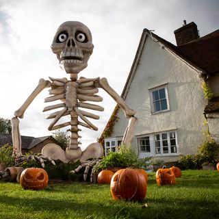 halloween with scary skeleton and pumpkins