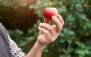 Man holding the first of our low calorie fruits, an apple