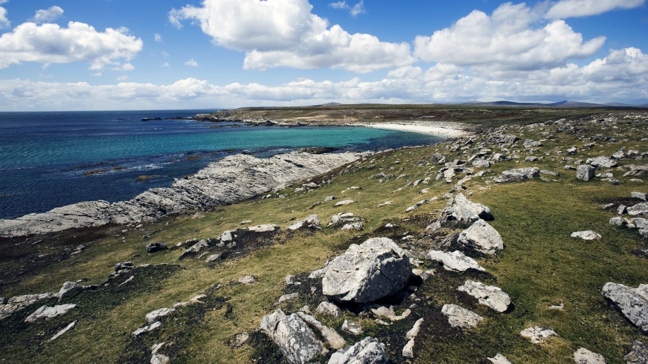 Pebble Island, Falklands