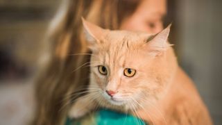 Woman holding ginger cat over her shoulder