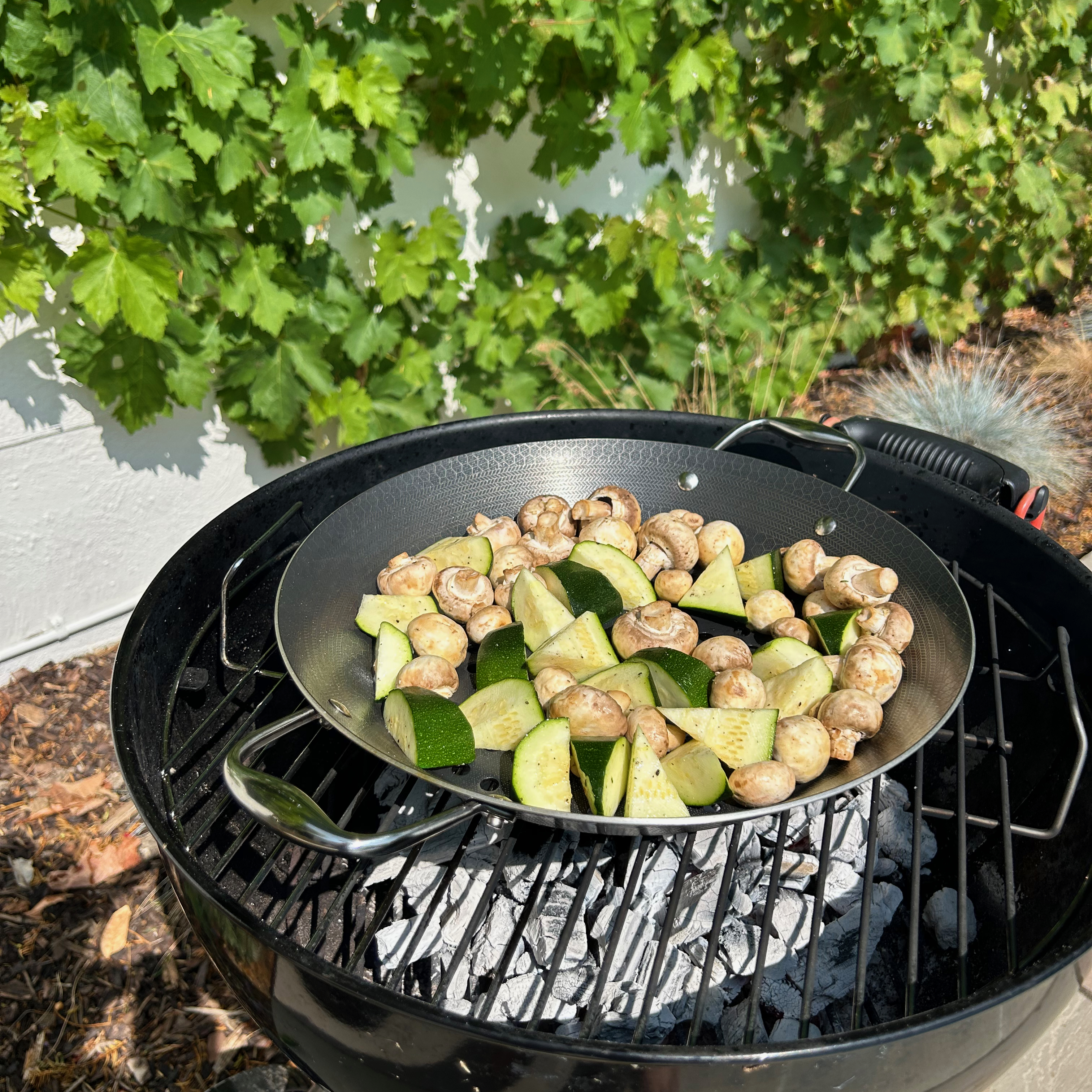 Testing the Hexclad BBQ pan at home