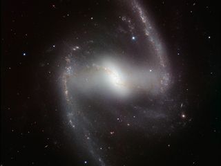 Barred Spiral Galaxy NGC 1365 1000