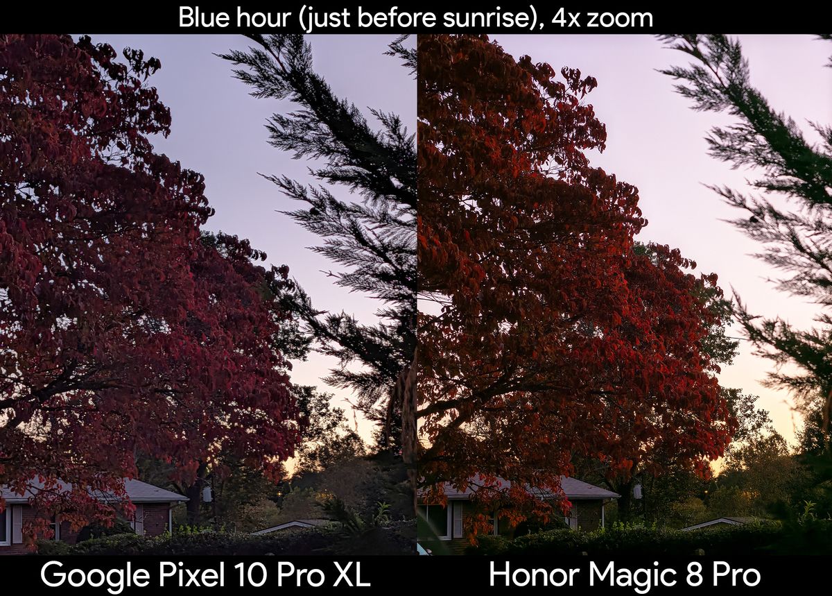 Comparing zoom photos at blue hour of foliage between the Honor Magic 8 Pro and Google Pixel 10 Pro XL