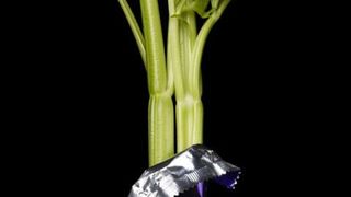 Celery in Wrapper
