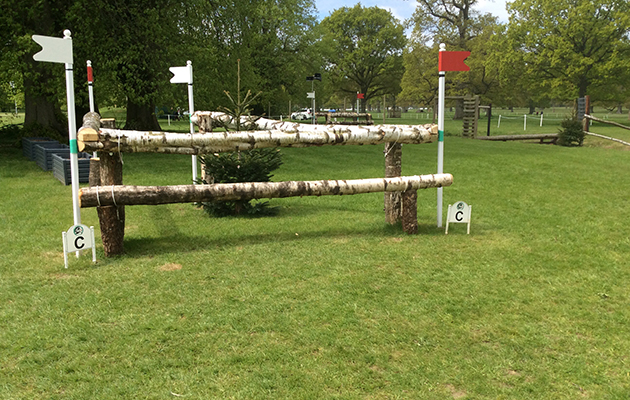 Badminton Fences 2017
